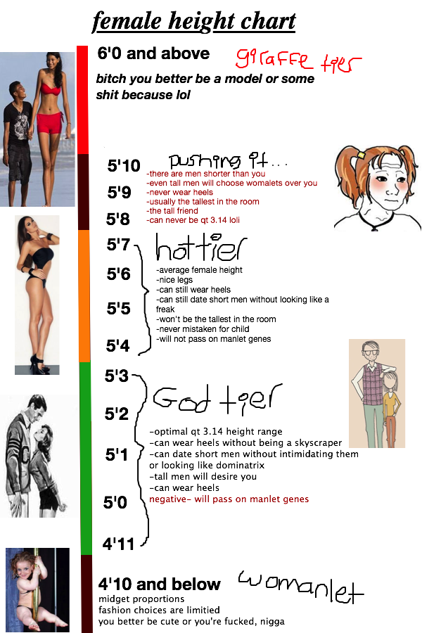 Featured image of post Women s Height Chart Meme